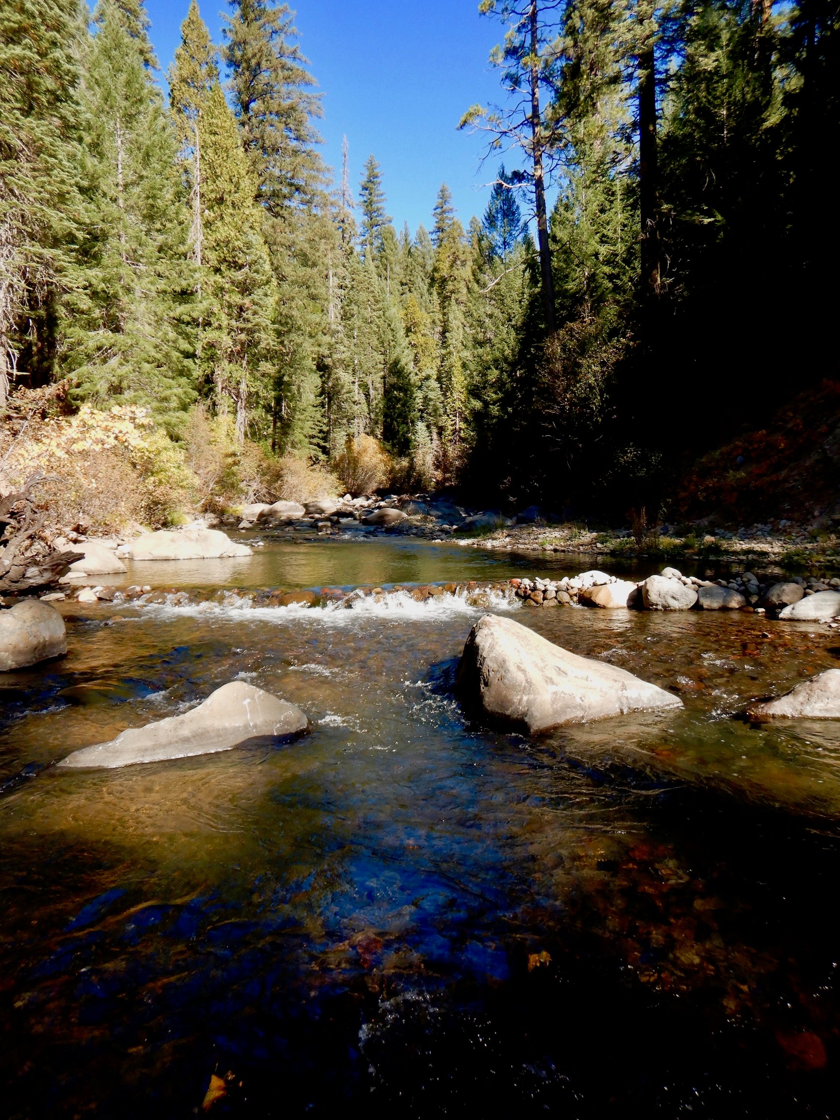 Dams Ineffective for ColdWater Conservation UC Davis